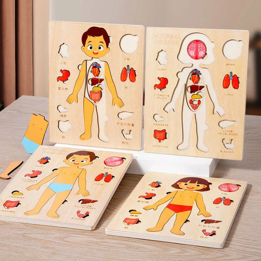 Kids Wooden Montessori Toys Human Body Organs Puzzles Educational Toy Preshool Kindergarten Learning Activities Busy Board