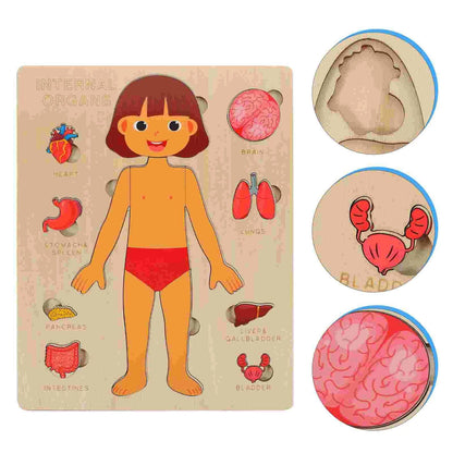 Kids Wooden Montessori Toys Human Body Organs Puzzles Educational Toy Preshool Kindergarten Learning Activities Busy Board