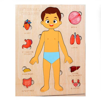 Kids Wooden Montessori Toys Human Body Organs Puzzles Educational Toy Preshool Kindergarten Learning Activities Busy Board