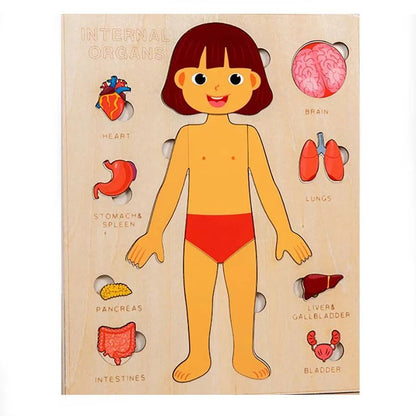 Kids Wooden Montessori Toys Human Body Organs Puzzles Educational Toy Preshool Kindergarten Learning Activities Busy Board